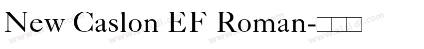 New Caslon EF Roman字体转换